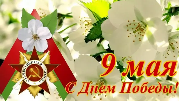 81-я годовщина Победы в Великой Отечественной войне