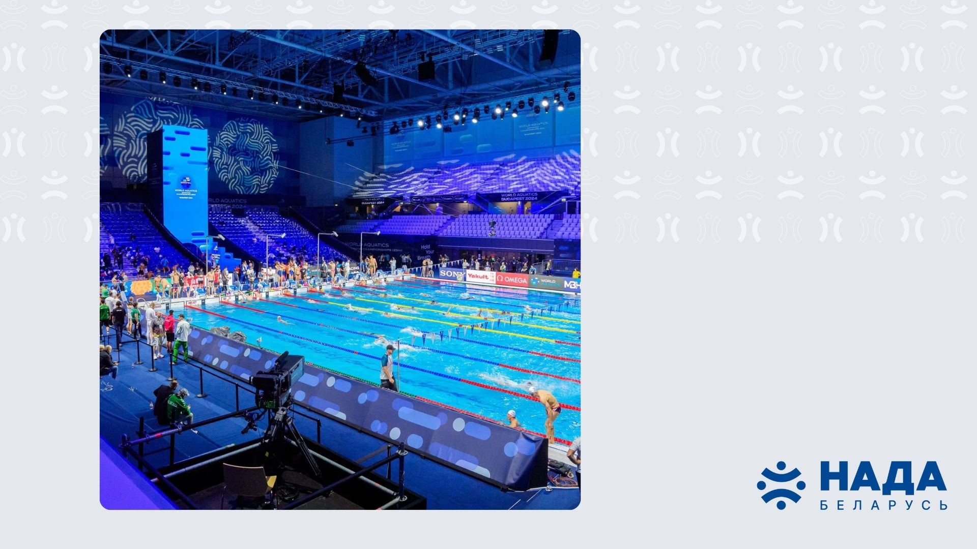 Спортсмены из Беларуси и России смогут участвовать в международных соревнованиях по водным видам спорта наравне с атлетами из других стран