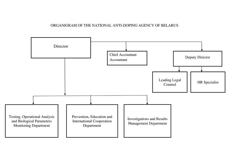 organigram.jpg